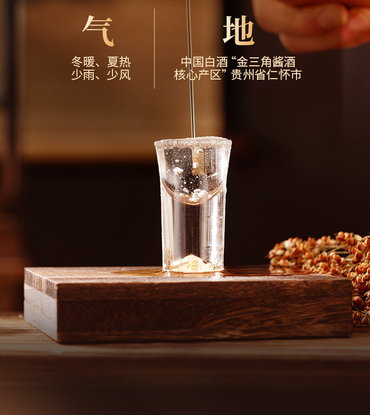 藏品·杜康酱酒